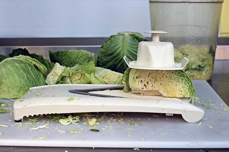 cabbage slicer for saurkraut